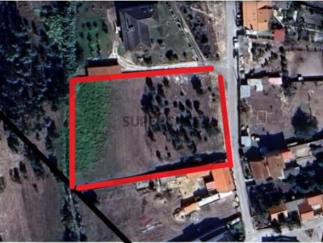 Terreno rústico com 1.100 m2 de área de construção Vieira de Leiria