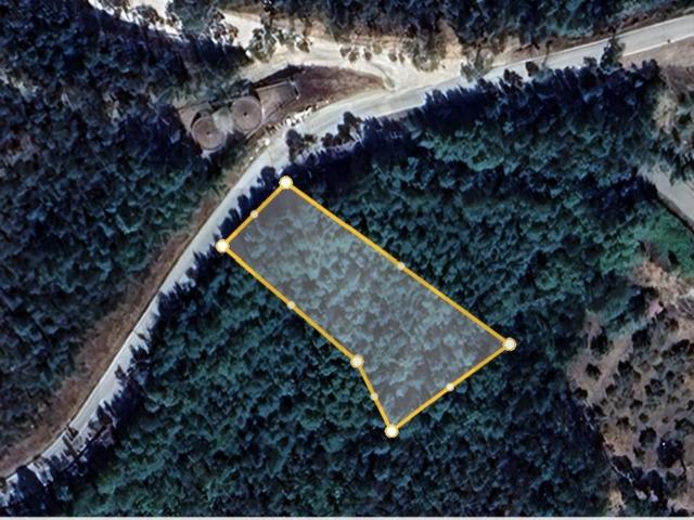 Terreno Rústico com 1.130 m² na Vidigueira Ceira – Coimbra