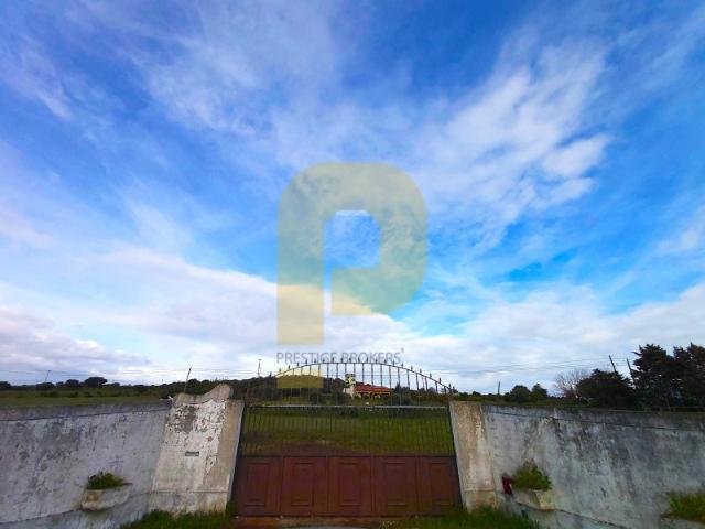 Terreno Rústico com Infraestruturas Instaladas | Vedor, Elvas