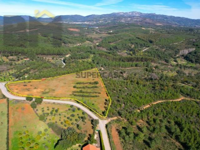 Terreno rústico com 1.2hectares, na aldeia de Sobral do Campo | 15min de Castelo Branco