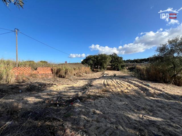 Terreno Rústico com 1,5 Hectares Perto do Mini Preço e Bombas da BP no Montijo