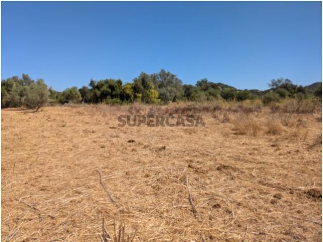 Terreno Rústico com 1.600 m²
