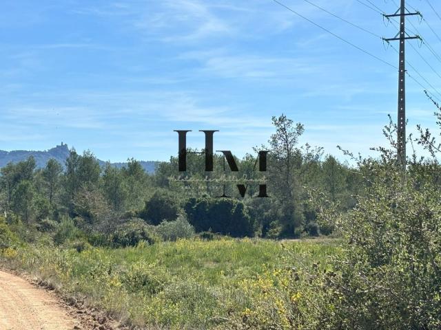 Terreno Rústico com 1,6 Hectares e Vista para o Palácio da Pena – Carrasqueiras, Sintra