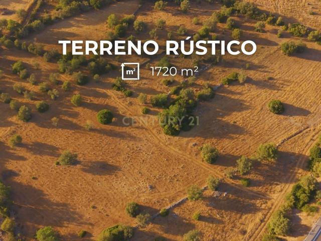 ✅ Terreno Rústico com 1.720 m² – Independência, Bons Acessos e Potencial de Expansão Moncarapacho Olhão Algarve