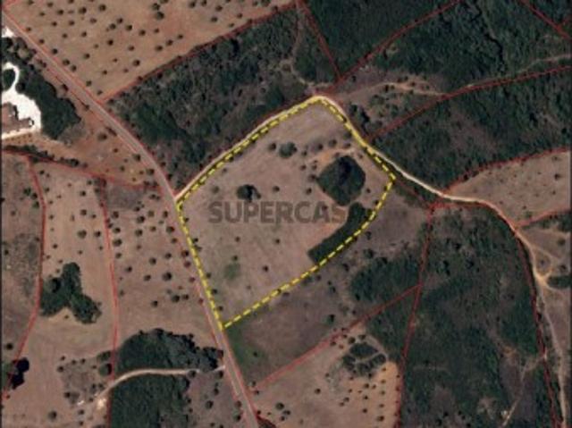Terreno Rústico com 1,9 ha em Arieiro Almoster Santarém