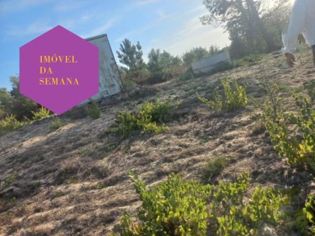 Terreno rustico com 1 Hectare Cartaxo