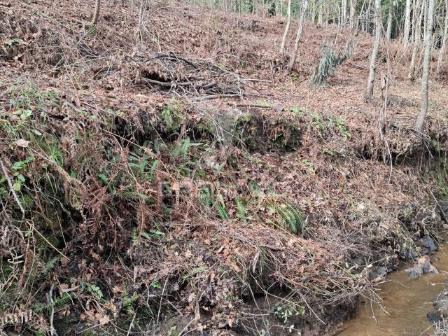 terreno Rustico com 2400 m2