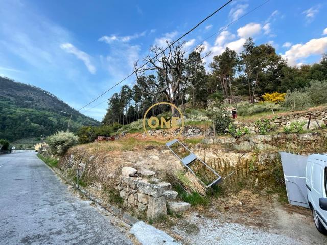 Terreno rústico com 24.900 m², situado em Longo / Tabuaço para venda