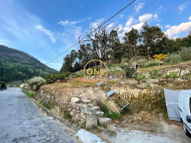 Terreno rústico com 24.900 m², situado em Longo / Tabuaço para venda