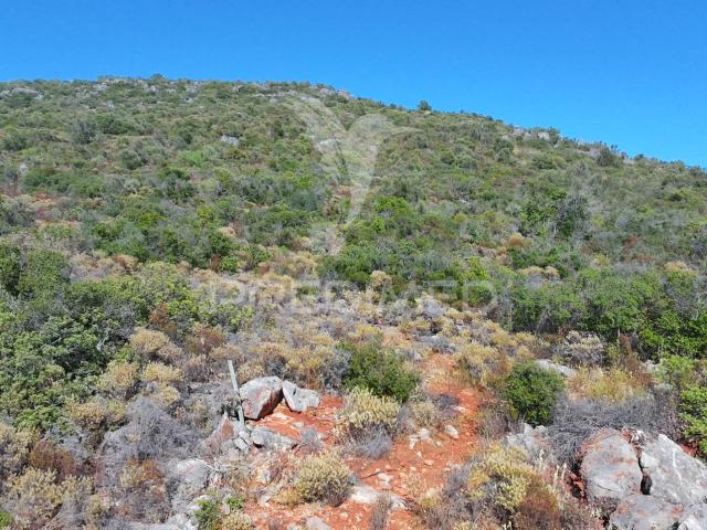 Terreno Rústico com 2520m² no Coração de Moncarapacho, Olhão, Algarve