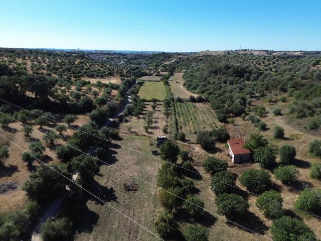 Terreno Rústico com 29.880 m² nas Lapas, Torres Novas