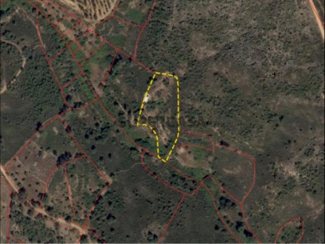 Terreno rústico com 2000 m2 a 7 km de Castelo Branco