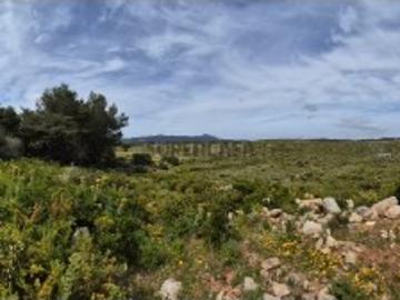 Terreno Rústico com 20.000 m² em Murches, Cascais Vista Serra de Sintra e Potencial Construção