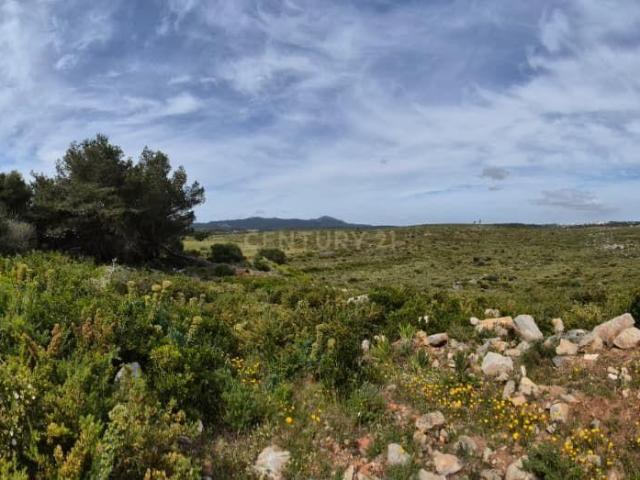 Terreno Rústico com 20.000 m² em Murches, Cascais – Vista Serra de Sintra e Potencial Construção