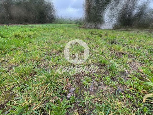 Terreno Rústico com 21.132m² em Balazar, Póvoa de Varzim