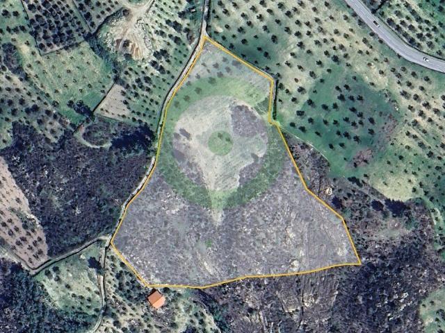 Terreno Rústico com 22.000 m² – Oliveiras, Mato e Pinhal situado em Valpaços