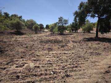 TERRENO RUSTICO COM 22.320 M2 POSSIBILIDADE DE CONSTRUIR APOIO AGRÍCOLA COM SOBREIROS RIO SECO CASTRO MARIM ALGARVE