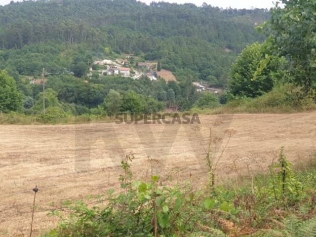 Terreno Rústico com 22.438m2, em Mosteiro, Vieira do Minho Potencial de Investimento