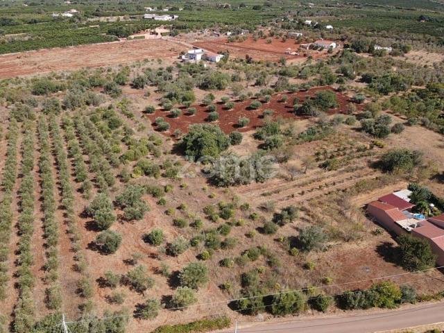 Terreno Rústico com 3.060m2 em Torreirão, Messines