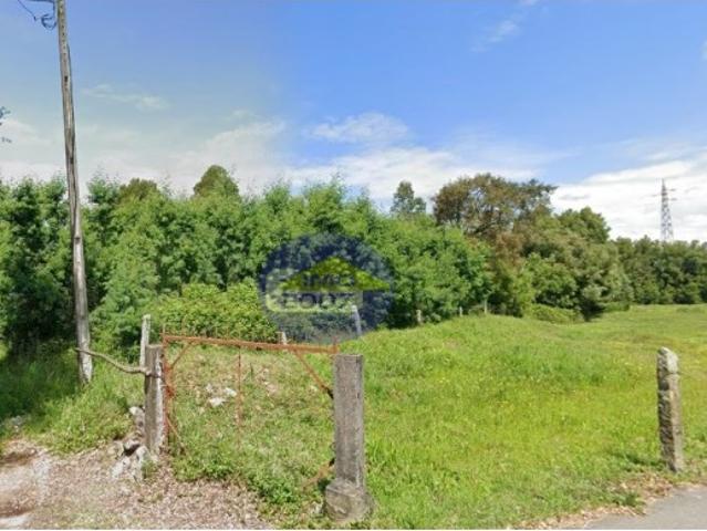Terreno Rustico com 2.100m2 São Paio de Oleiros