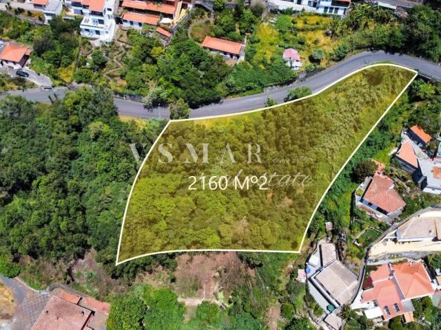 Terreno Rústico com 2.160 m² no Monte – Ideal para Agricultura e Projetos Sustentáveis