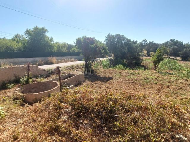 Terreno Rústico com 2.280 m² em Santa Bárbara de Nexe – Sítio do Canal