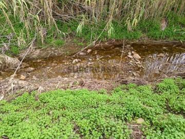 TERRENO RUSTICO COM 2.320 M2 PLANO ÁGUA ELETRICIDADE PISA BARRO CASTRO MARIM ALGARVE