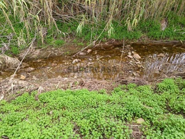 TERRENO RUSTICO COM 2.320 M2 PLANO ÁGUA ELETRICIDADE PISA BARRO CASTRO MARIM ALGARVE