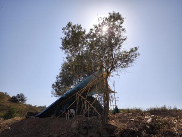 TERRENO RÚSTICO COM 2.360 M2 PROXIMO A ALDEIA DA CORTE DO GAGO CASTRO MARIM ALGARVE