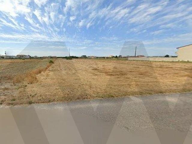 Terreno Rústico com 2.482 m² na Gafanha da Boa Hora, Vagos Aveiro