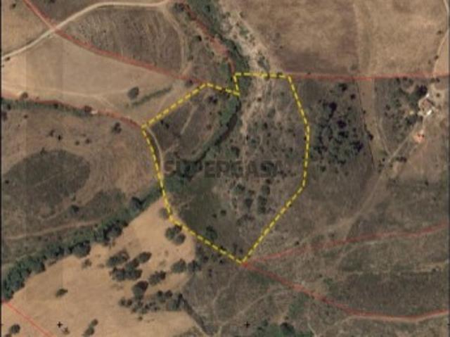 Terreno Rústico com 2,5 Hectares com acesso a água Santana da Serra