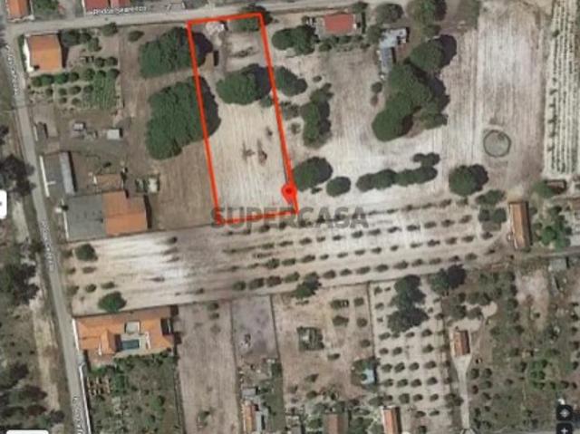 Terreno rústico com 2.600 m² Vale Gamito, Quinta do Amaro, Grândola
