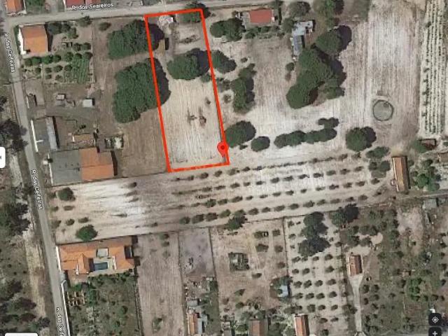 Terreno rústico com 2.600 m² Vale Gamito, Quinta do Amaro, Grândola