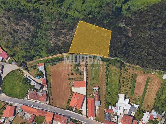 Terreno Rústico com 2.700 m² – Pinhal em Salgueiral de Cima, São João de Ovar