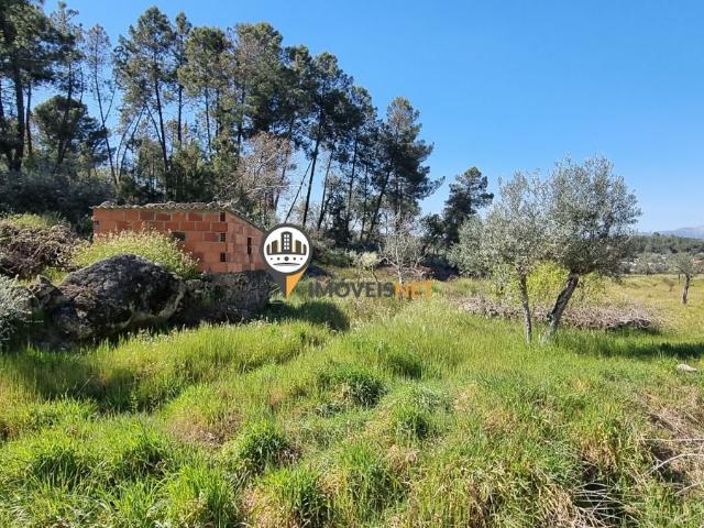 Terreno Rústico com 2.750 m2,Póvoa Rio de Moinhos, Castelo Branco