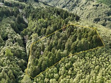 Terreno Rústico com 2.786 m² com Criptoméria