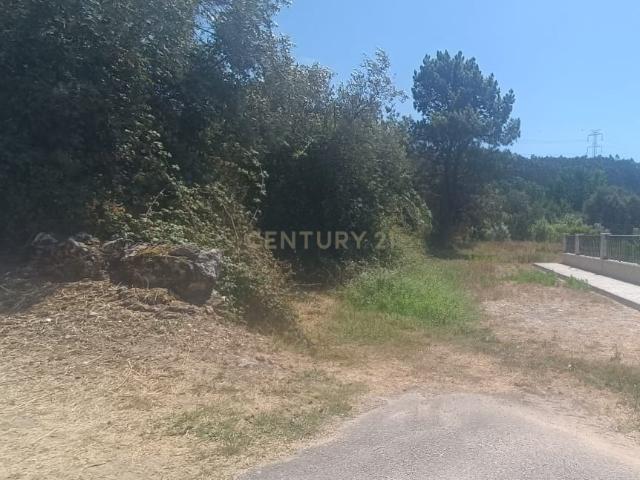 Terreno Rústico 2.970 m² em Milagres, Leiria