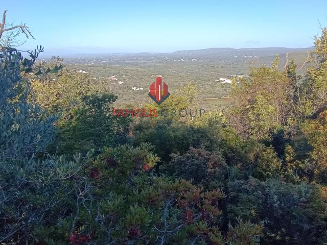 Terreno Rustico com 3680 m2 em Paderne Algarve