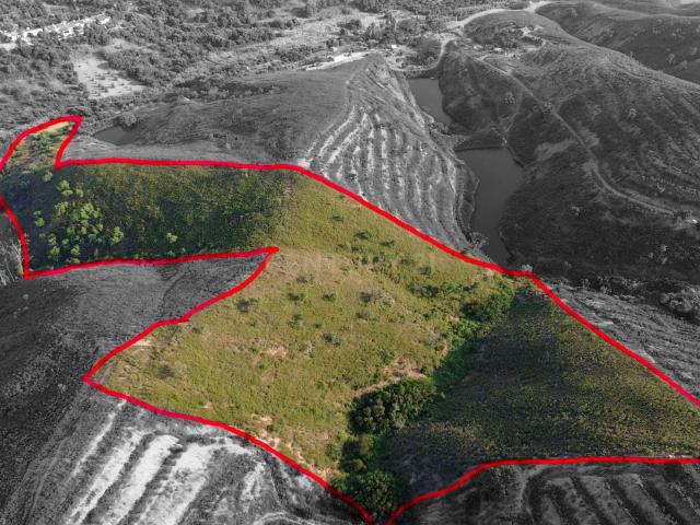 Terreno rústico com 31.040 m² – Serro da Venda, São Bartolomeu de Messines