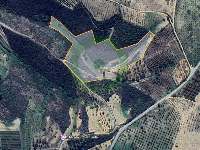 Terreno Rústico com 31.924 m² – Castanheiros, Oliveiras e Regato