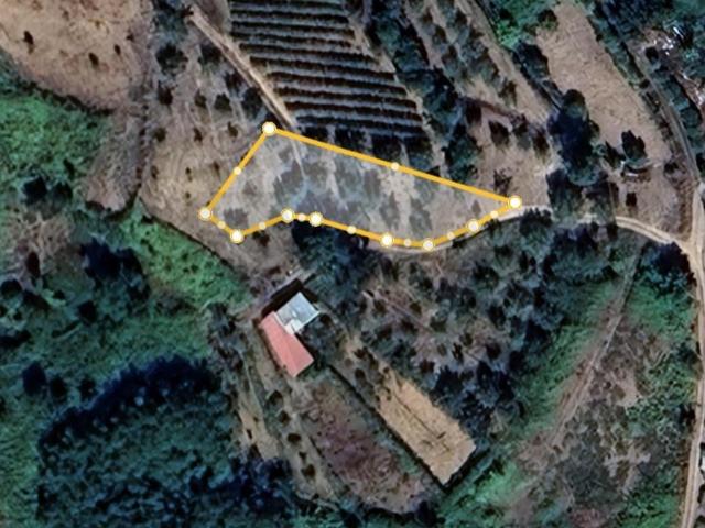Terreno Rústico com 321 m² em Ceira, Coimbra – Ideal para Lazer ou Cultivo!