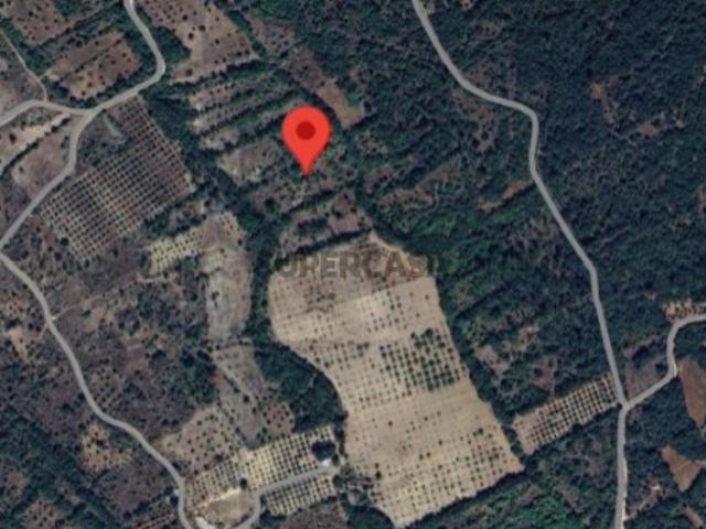 Terreno Rústico com 3224m2 em Areias e Pias, Ferreira do Zezere