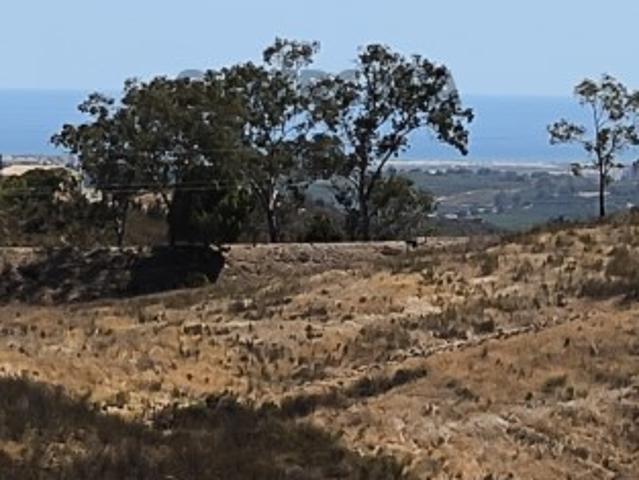 TERRENO RÚSTICO COM 3250 M² VISTA MAR COM DEPÓSITO DE ÁGUA SISTEMA SOLAR EM PALHEIRINHOS TV