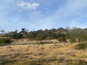 Terreno rústico com 3300m2, Loulé, Algarve