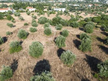 Terreno Rústico com 3.340 m² – Troviscal, Alcanena