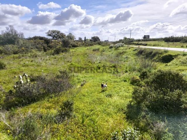 TERRENO RÚSTICO COM 3.4 HECTARES COM POSSIBILIDADE DE CONSTRUÇÃO DE ARMAZÉM AGRICOLA PRÓXIMO A ALDEIA DO AZINHAL EM CASTRO MARIM ALGARVE