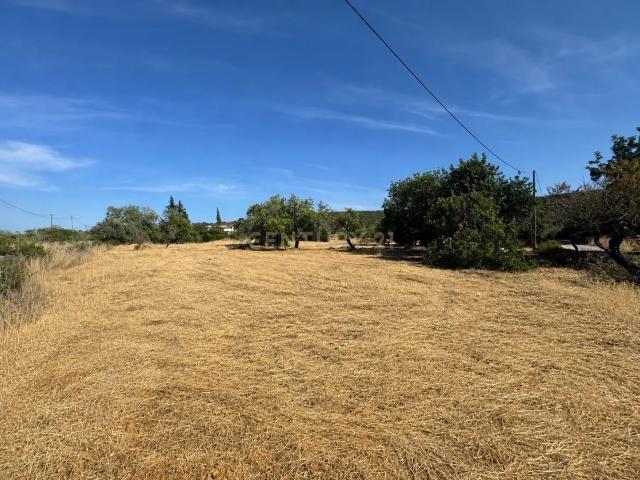 Terreno Rústico com 3.560 m² em Pereiro – Moncarapacho, Olhão