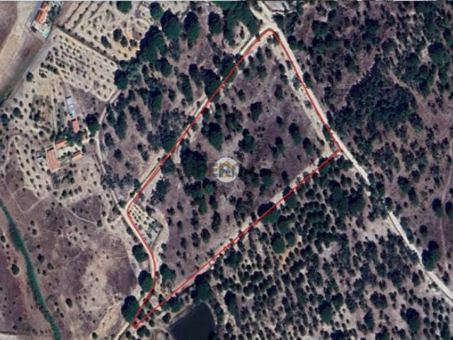 Terreno Rústico com 3,625 Hectares em Cortiçadas de Lavre e Lavre