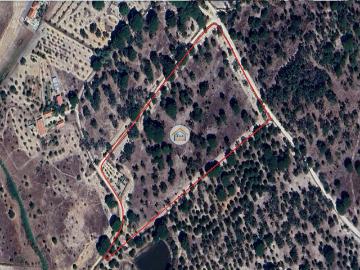 Terreno Rústico com 3,625 Hectares em Cortiçadas de Lavre e Lavre