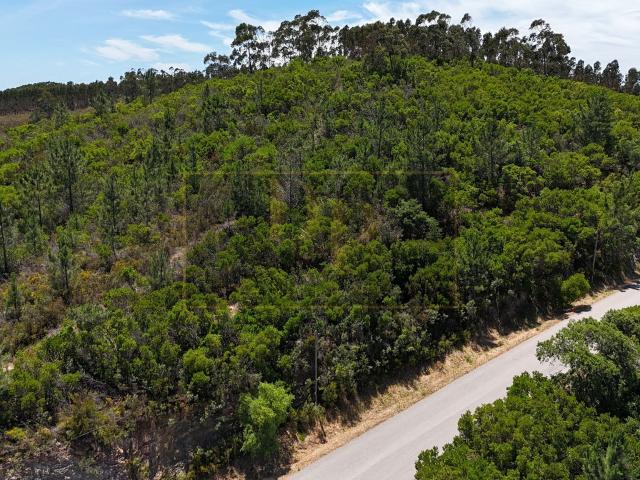 Terreno Rústico com 3.700m² à Venda Romeiras, Marmelete